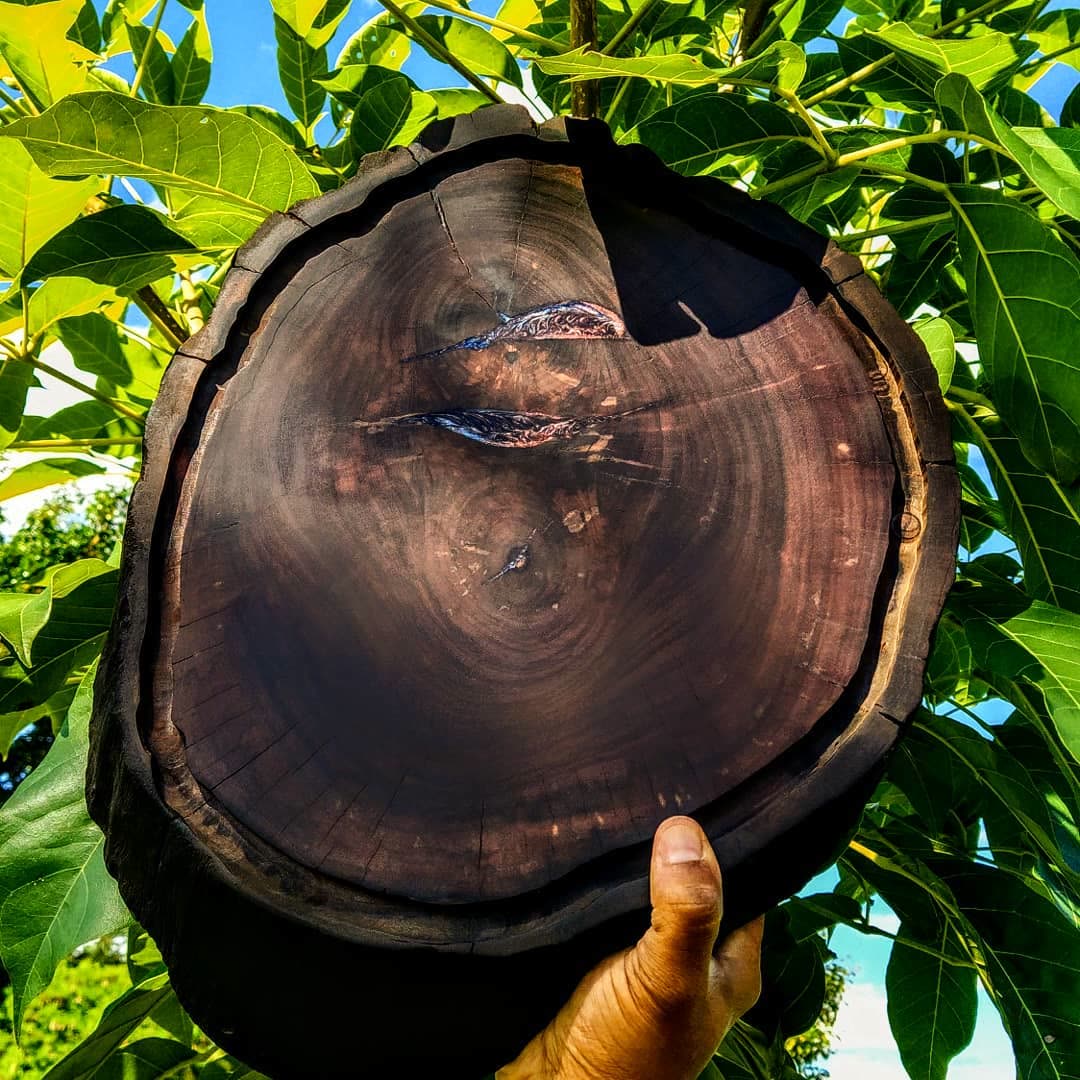 Tábua estilo cepo em Caviúna com borda orgânica e resina vermelha, azul e preta